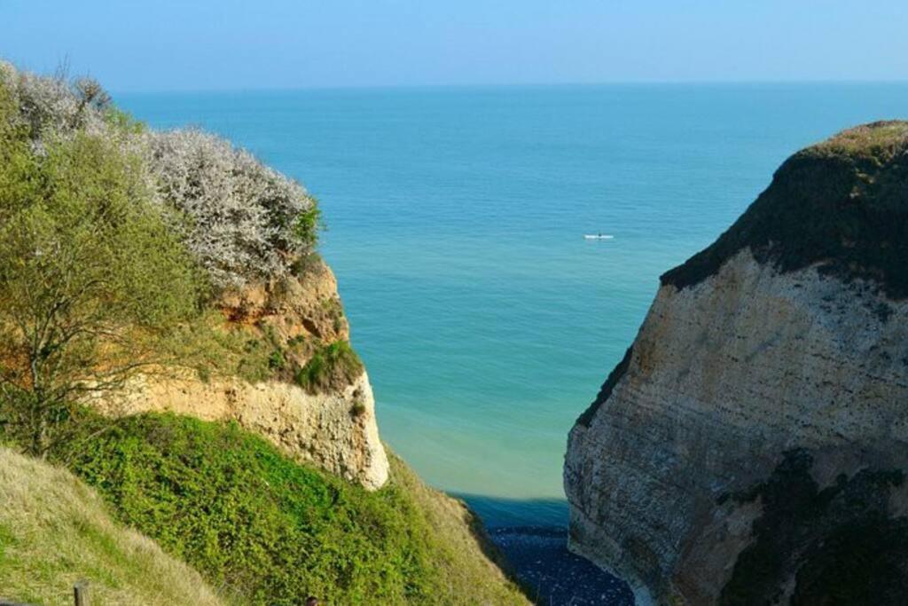 Superbe Propriete Bord De Mer - Le Clos Ricarda Sainte-Marguerite  외부 사진